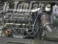 ��� �� HAVAL JOLION  - 