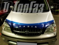   Toyota Nadia - 